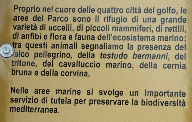 Porticciolo romano - Formia